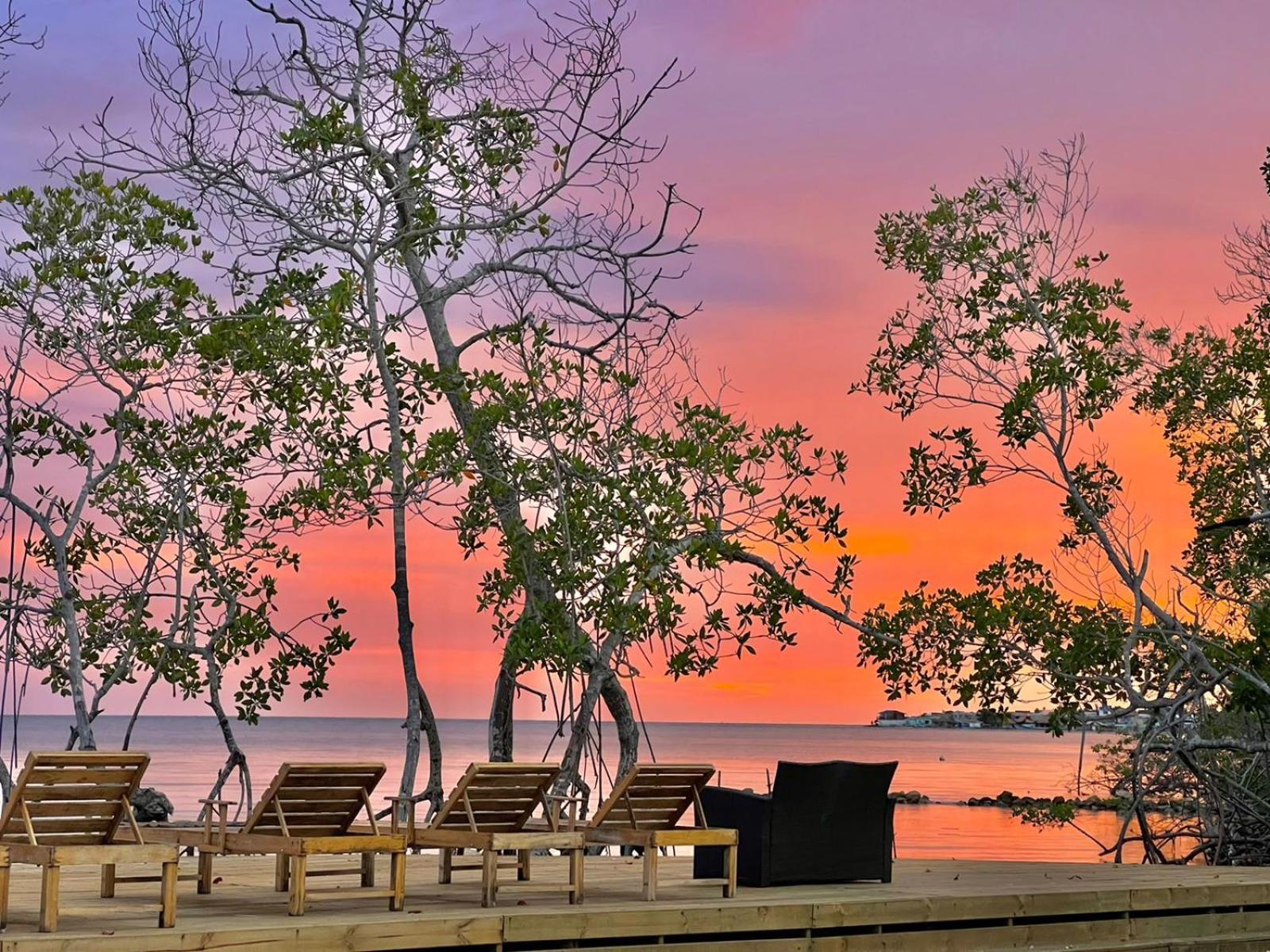 Medusa Hostel Isla Tintipan Tintipan Island Εξωτερικό φωτογραφία