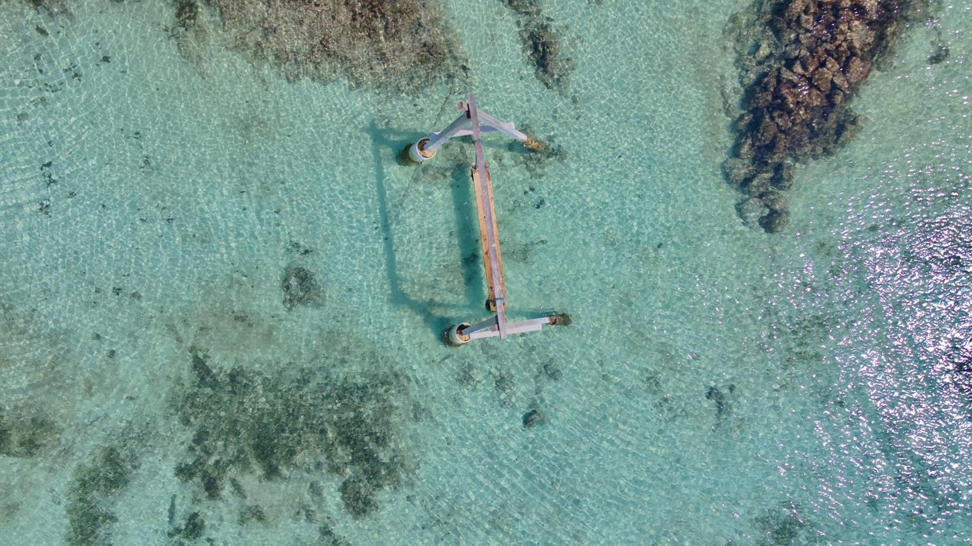 Medusa Hostel Isla Tintipan Tintipan Island Εξωτερικό φωτογραφία