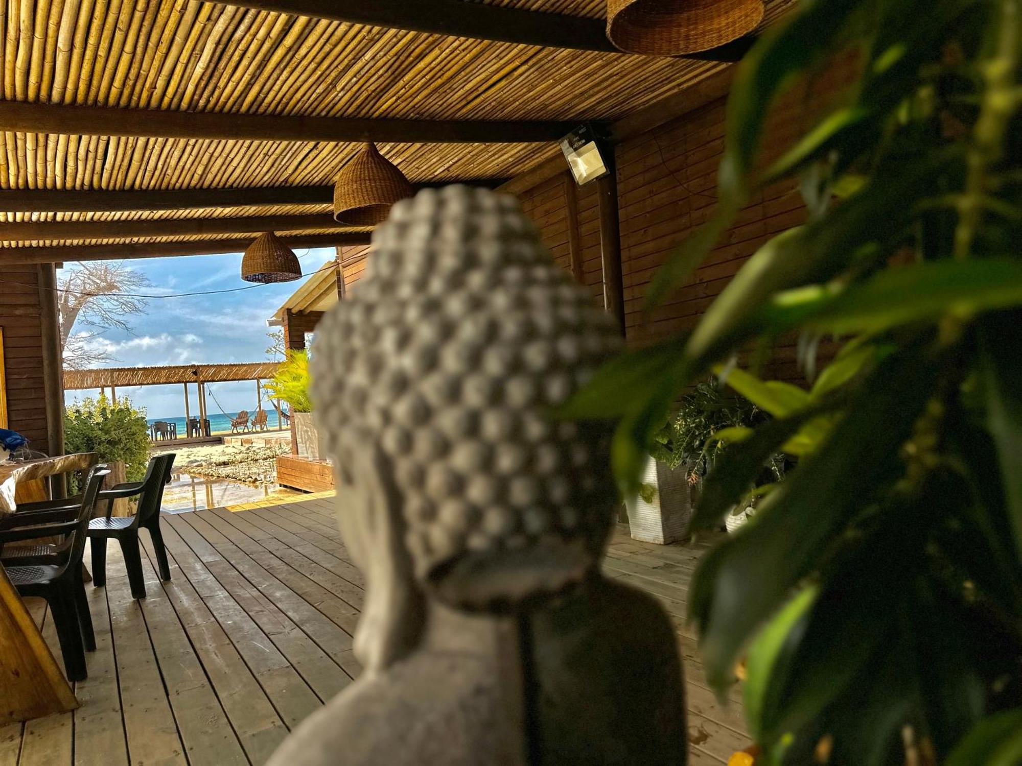 Medusa Hostel Isla Tintipan Tintipan Island Εξωτερικό φωτογραφία